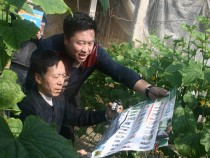 实验示范5