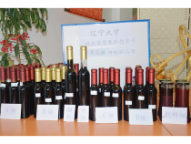 黑果花楸产品