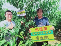 实验示范3