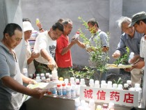 实验示范6