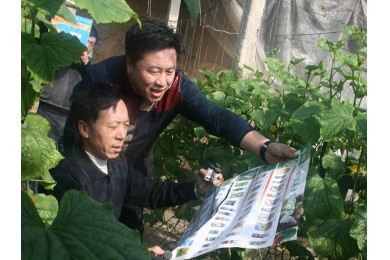 实验示范5