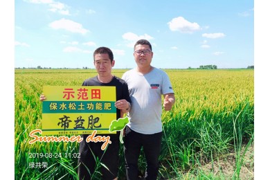 实验示范2