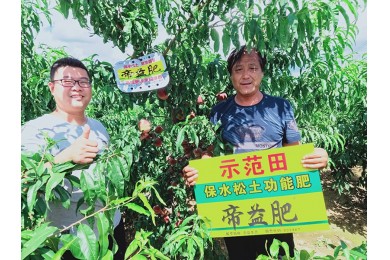实验示范3
