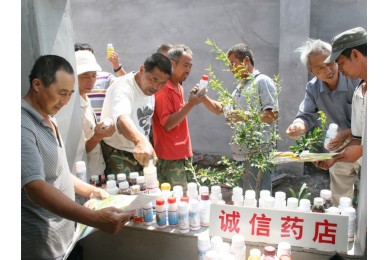 实验示范6